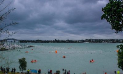 Auckland Harbour Swim start line